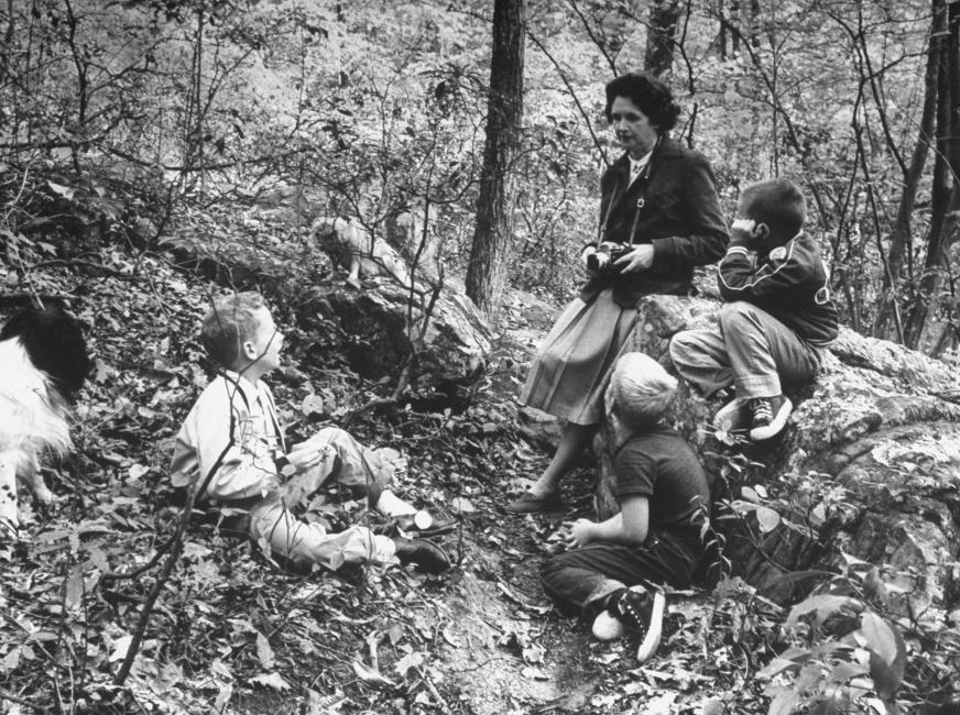 Rachel Carson’s Brave, Groundbreaking ‘Silent Spring’ at 50 Years