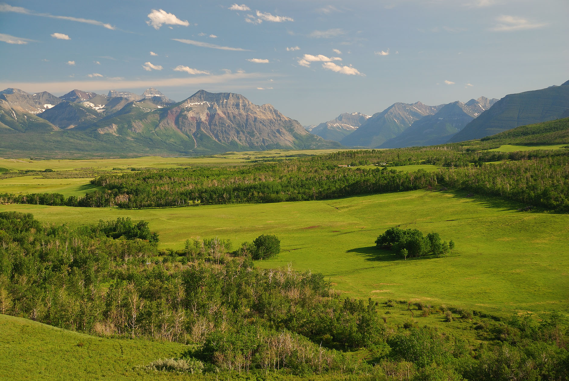 Montana Plains