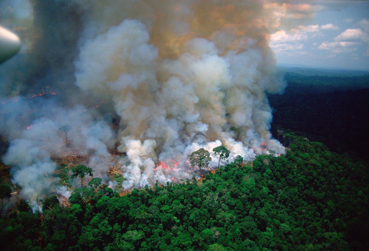 With the Amazon on Fire, an Early Visitor Recalls the Scorched Acreage That Was Once Earth’s Greatest Forest