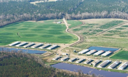 Study Confirms Waste From Industrial Hog Farms Creates Life-Threatening Hazards for Nearby Residents