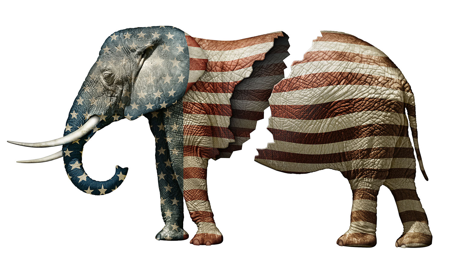 Photo Illustration Flag Adorned Elephant Split