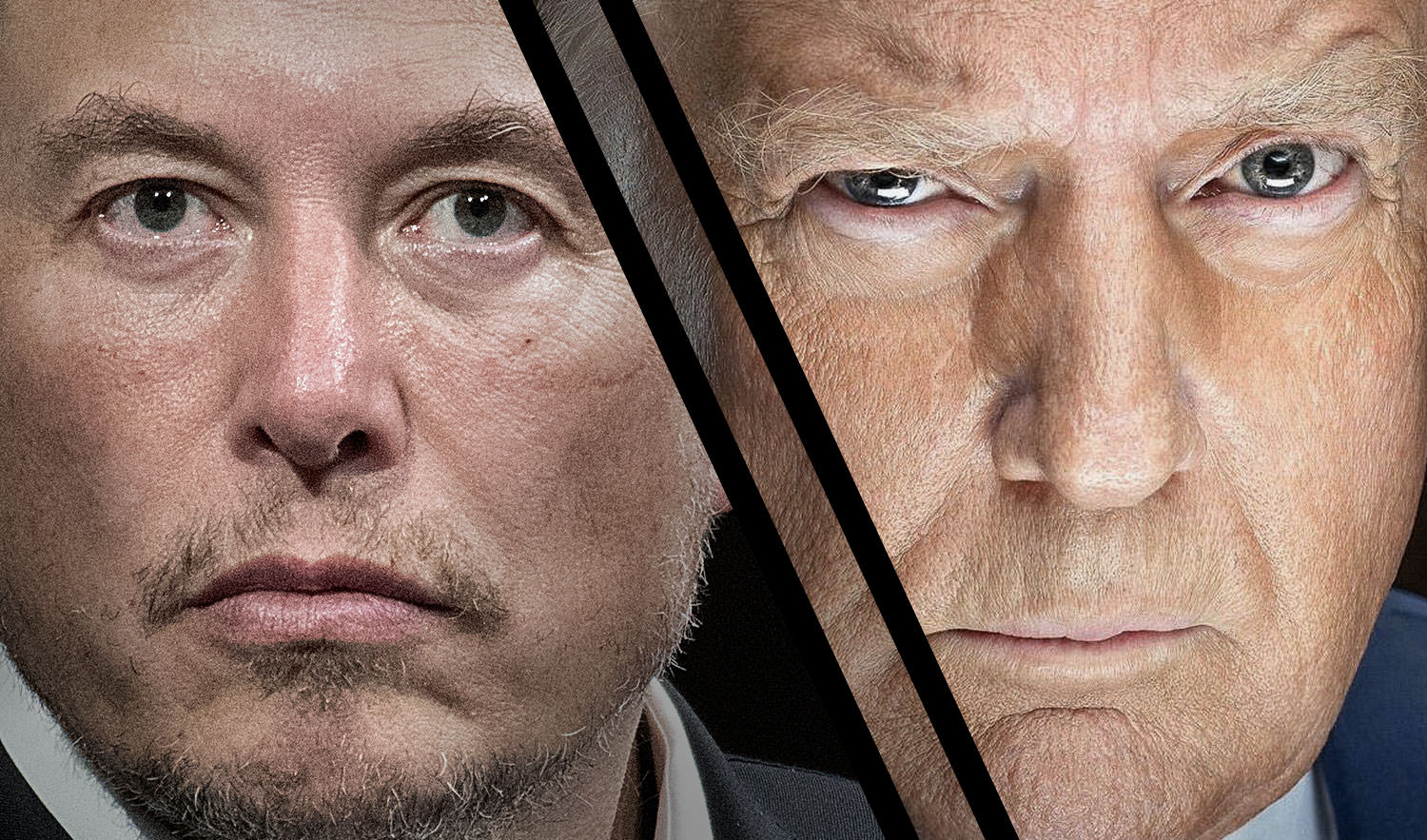 Elon Musk and Donald Trump